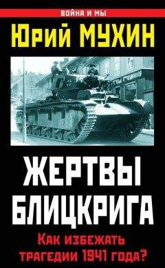 Юрий Мухин - Жертвы Блицкрига. Как избежать трагедии 1941 года? - Читать 📖 Читать онлайн 👀 Читаемые книги читать онлайн бесплатно 🔥 booksread-online.com