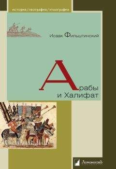 Исаак Фильштинский - Арабы и Халифат - Читать 📖 Читать онлайн 👀 Читаемые книги читать онлайн бесплатно 🔥 booksread-online.com
