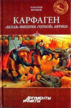 Александр Волков - Карфаген. &quot;Белая&quot; империя &quot;чёрной&quot; Африки - Читать 📖 Читать онлайн 👀 Читаемые книги читать онлайн бесплатно 🔥 booksread-online.com
