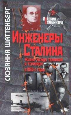 Сюзанна Шаттенберг - Инженеры Сталина: Жизнь между техникой и террором в 1930-е годы - Читать | Читать онлайн | Читаемые книги читать онлайн бесплатно | booksread-online.com