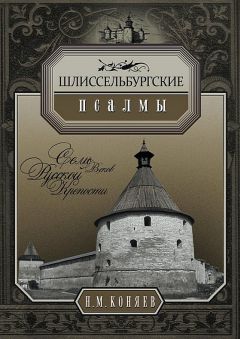 Николай Коняев - Шлиссельбургские псалмы. Семь веков русской крепости - Читать 📖 Читать онлайн 👀 Читаемые книги читать онлайн бесплатно 🔥 booksread-online.com