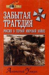Анатолий Уткин - Забытая трагедия. Россия в первой мировой войне - Читать 📖 Читать онлайн 👀 Читаемые книги читать онлайн бесплатно 🔥 booksread-online.com