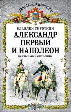 Владлен Сироткин - Александр Первый и Наполеон. Дуэль накануне войны - Читать | Читать онлайн | Читаемые книги читать онлайн бесплатно | booksread-online.com