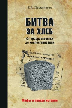 Елена Прудникова - Битва за хлеб. От продразверстки до коллективизации - Читать 📖 Читать онлайн 👀 Читаемые книги читать онлайн бесплатно 🔥 booksread-online.com