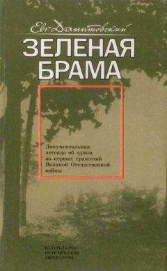 Евгений Долматовский - Зеленая брама - Читать 📖 Читать онлайн 👀 Читаемые книги читать онлайн бесплатно 🔥 booksread-online.com