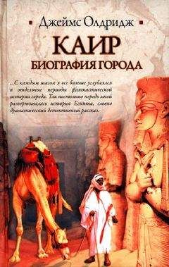 Джеймс Олдридж - Каир. Биография города - Читать 📖 Читать онлайн 👀 Читаемые книги читать онлайн бесплатно 🔥 booksread-online.com