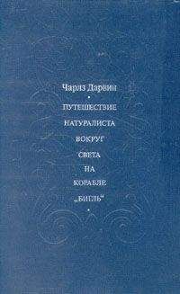 Чарлз Дарвин - Путешествие натуралиста вокруг света на корабле "Бигль" - Читать | Читать онлайн | Читаемые книги читать онлайн бесплатно | booksread-online.com