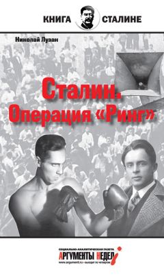 Николай Лузан - Сталин. Операция «Ринг» - Читать 📖 Читать онлайн 👀 Читаемые книги читать онлайн бесплатно 🔥 booksread-online.com