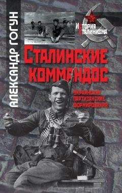 Александр Гогун - Сталинские коммандос. Украинские партизанские формирования, 1941-1944 - Читать 📖 Читать онлайн 👀 Читаемые книги читать онлайн бесплатно 🔥 booksread-online.com