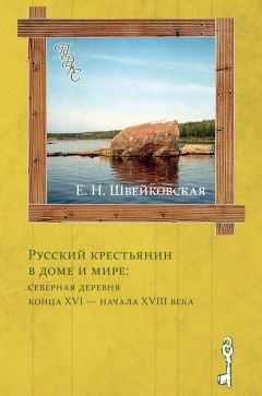 Елена Швейковская - Русский крестьянин в доме и мире: северная деревня конца XVI – начала XVIII века - Читать 📖 Читать онлайн 👀 Читаемые книги читать онлайн бесплатно 🔥 booksread-online.com
