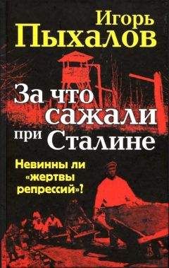 Игорь Пыхалов - За что сажали при Сталине. Невинны ли «жертвы репрессий»? - Читать | Читать онлайн | Читаемые книги читать онлайн бесплатно | booksread-online.com