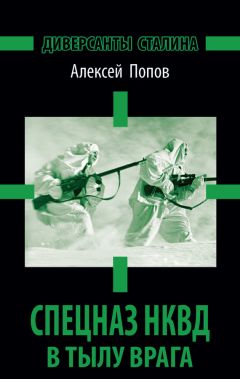 Алексей Попов - Диверсанты Сталина. Спецназ НКВД в тылу врага - Читать 📖 Читать онлайн 👀 Читаемые книги читать онлайн бесплатно 🔥 booksread-online.com