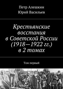 Юрий Васильев - Крестьянские восстания в Советской России (1918—1922 гг.) в 2 томах. Том первый - Читать 📖 Читать онлайн 👀 Читаемые книги читать онлайн бесплатно 🔥 booksread-online.com
