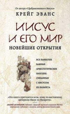Крейг Эванс - Иисус и его мир. Новейшие открытия - Читать | Читать онлайн | Читаемые книги читать онлайн бесплатно | booksread-online.com