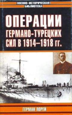 Герман Лорей - Операции германо-турецких сил. 1914—1918 гг. - Читать Читать онлайн Читаемые книги читать онлайн бесплатно booksread-online.com