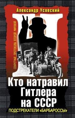 Александр Усовский - Кто натравил Гитлера на СССР. Подстрекатели «Барбароссы» - Читать 📖 Читать онлайн 👀 Читаемые книги читать онлайн бесплатно 🔥 booksread-online.com