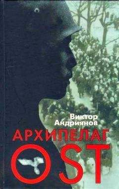 Виктор Андриянов - Архипелаг OST. Судьба рабов «Третьего рейха» в их свидетельствах, письмах и документах - Читать 📖 Читать онлайн 👀 Читаемые книги читать онлайн бесплатно 🔥 booksread-online.com