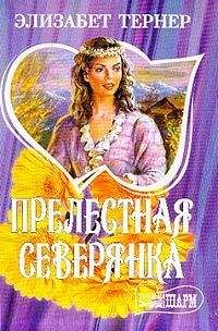 Элизабет Тернер - Прелестная северянка - Читать Читать онлайн Читаемые книги читать онлайн бесплатно booksread-online.com