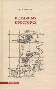 Н. Пинегин - В ледяных просторах - Читать | Читать онлайн | Читаемые книги читать онлайн бесплатно | booksread-online.com