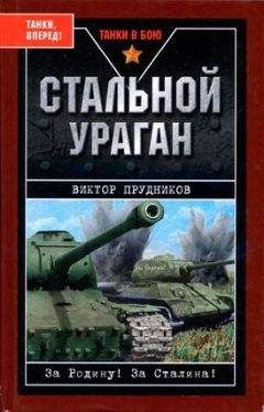 Виктор Прудников - Стальной ураган - Читать 📖 Читать онлайн 👀 Читаемые книги читать онлайн бесплатно 🔥 booksread-online.com