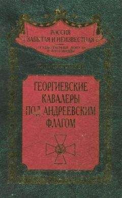 Николай Скрицкий - Георгиевские кавалеры под Андреевским флагом. Русские адмиралы — кавалеры ордена Святого Георгия I и II степеней - Читать 📖 Читать онлайн 👀 Читаемые книги читать онлайн бесплатно 🔥 booksread-online.com