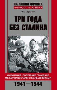 Игорь Ермолов - Три года без Сталина. Оккупация: советские граждане между нацистами и большевиками. 1941-1944 - Читать | Читать онлайн | Читаемые книги читать онлайн бесплатно | booksread-online.com
