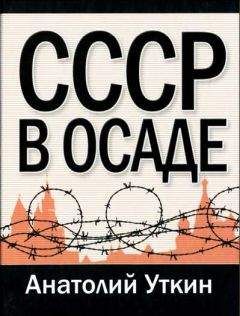 Анатолий Уткин - СССР в осаде - Читать 📖 Читать онлайн 👀 Читаемые книги читать онлайн бесплатно 🔥 booksread-online.com