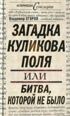 Владимир ЕГОРОВ - Загадка Куликова поля, или Битва, которой не было - Читать | Читать онлайн | Читаемые книги читать онлайн бесплатно | booksread-online.com