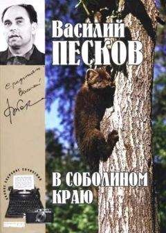 Василий Песков - Полное собрание сочинений. Том 1. В соболином краю - Читать 📖 Читать онлайн 👀 Читаемые книги читать онлайн бесплатно 🔥 booksread-online.com