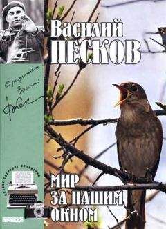 Василий Песков - Полное собрание сочинений. Том 8. Мир за нашим окном - Читать 📖 Читать онлайн 👀 Читаемые книги читать онлайн бесплатно 🔥 booksread-online.com