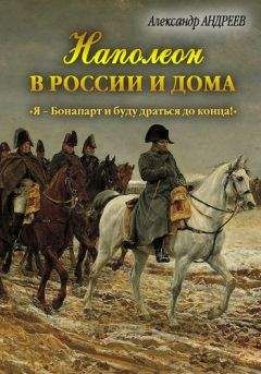 Александр Андреев - Наполеон в России и дома. «Я – Бонапарт и буду драться до конца!» - Читать 📖 Читать онлайн 👀 Читаемые книги читать онлайн бесплатно 🔥 booksread-online.com