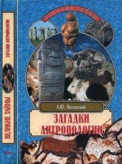 Андрей Низовский - Загадки антропологии. - Читать 📖 Читать онлайн 👀 Читаемые книги читать онлайн бесплатно 🔥 booksread-online.com