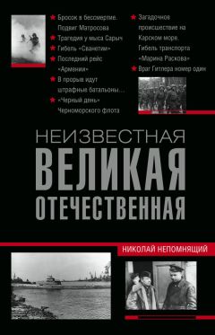 Николай Непомнящий - Неизвестная Великая Отечественная - Читать 📖 Читать онлайн 👀 Читаемые книги читать онлайн бесплатно 🔥 booksread-online.com