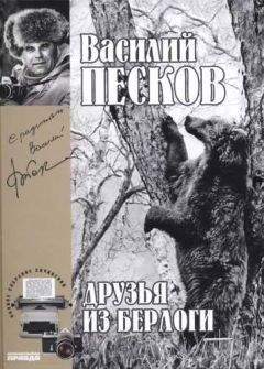 Василий Песков - Полное собрание сочинений. Том 11. Друзья из берлоги - Читать 📖 Читать онлайн 👀 Читаемые книги читать онлайн бесплатно 🔥 booksread-online.com