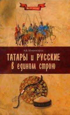 Александр Широкора - Татары и русские в едином строю - Читать | Читать онлайн | Читаемые книги читать онлайн бесплатно | booksread-online.com