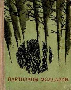 Дмитрий Елин - Партизаны Молдавии - Читать | Читать онлайн | Читаемые книги читать онлайн бесплатно | booksread-online.com