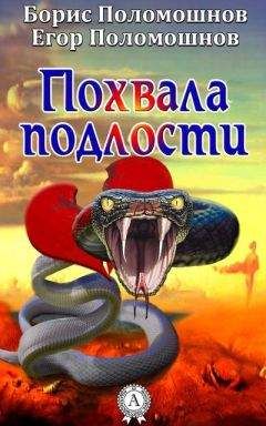 Борис Поломошнов - Похвала подлости - Читать | Читать онлайн | Читаемые книги читать онлайн бесплатно | booksread-online.com