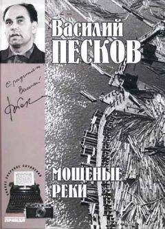 Василий Песков - Полное собрание сочинений. Том 5. Мощеные реки. - Читать 📖 Читать онлайн 👀 Читаемые книги читать онлайн бесплатно 🔥 booksread-online.com