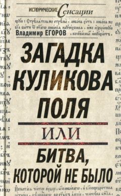 Владимир Егоров - Загадка Куликова поля, или Битва, которой не было - Читать 📖 Читать онлайн 👀 Читаемые книги читать онлайн бесплатно 🔥 booksread-online.com