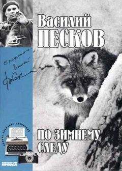 Василий Песков - Полное собрание сочинений. Том 7. По зимнему следу - Читать 📖 Читать онлайн 👀 Читаемые книги читать онлайн бесплатно 🔥 booksread-online.com