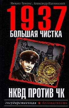 Александр Папчинский - 1937. Большая чистка. НКВД против ЧК - Читать 📖 Читать онлайн 👀 Читаемые книги читать онлайн бесплатно 🔥 booksread-online.com
