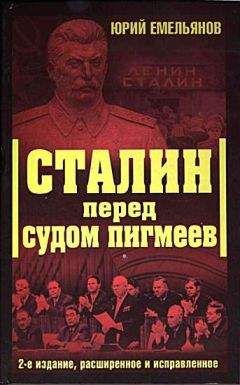 Юрий Емельянов - Сталин перед судом пигмеев - Читать 📖 Читать онлайн 👀 Читаемые книги читать онлайн бесплатно 🔥 booksread-online.com