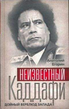 Анатолий Егорин - Неизвестный Каддафи: братский вождь - Читать | Читать онлайн | Читаемые книги читать онлайн бесплатно | booksread-online.com