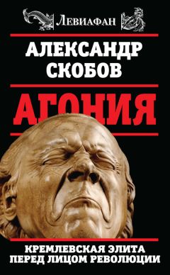 Александр Скобов - Агония. Кремлевская элита перед лицом революции - Читать | Читать онлайн | Читаемые книги читать онлайн бесплатно | booksread-online.com