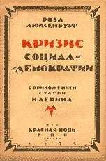 Роза Люксембург - Кризис социал-демократии - Читать 📖 Читать онлайн 👀 Читаемые книги читать онлайн бесплатно 🔥 booksread-online.com
