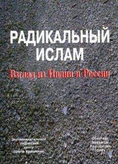 Сергей Кургинян - Радикальный ислам. Взгляд из Индии и России - Читать 📖 Читать онлайн 👀 Читаемые книги читать онлайн бесплатно 🔥 booksread-online.com
