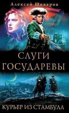 Алексей Шкваров - Слуги Государевы. Курьер из Стамбула - Читать 📖 Читать онлайн 👀 Читаемые книги читать онлайн бесплатно 🔥 booksread-online.com