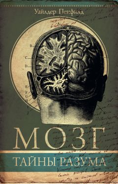 Уайлдер Пенфилд - Мозг. Тайны разума - Читать 📖 Читать онлайн 👀 Читаемые книги читать онлайн бесплатно 🔥 booksread-online.com