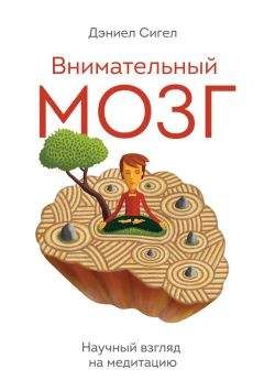 Дэниел Сигел - Внимательный мозг. Научный взгляд на медитацию - Читать | Читать онлайн | Читаемые книги читать онлайн бесплатно | booksread-online.com