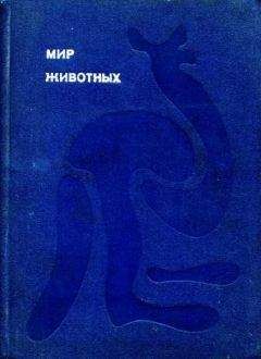 Игорь Акимушкин - Мир животных. Том 1 - Читать 📖 Читать онлайн 👀 Читаемые книги читать онлайн бесплатно 🔥 booksread-online.com